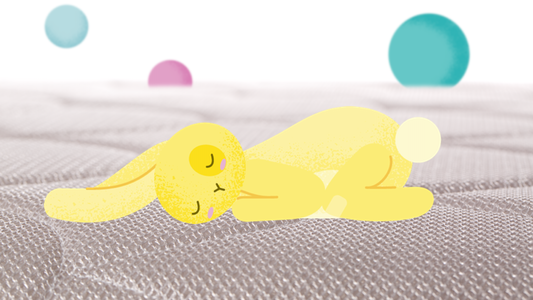 A room with a snooze