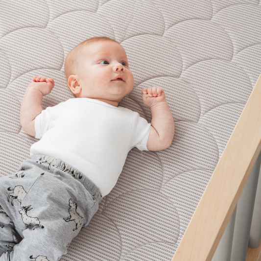 airnest Cot Mattress